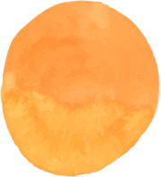 sfsdcsdcs-2